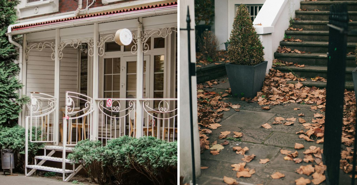 6 Front Yard Elements That May Be Considered Eyesores Without You Realizing It - Decor Hint