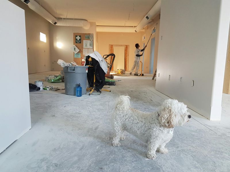 Unpermitted Renovations