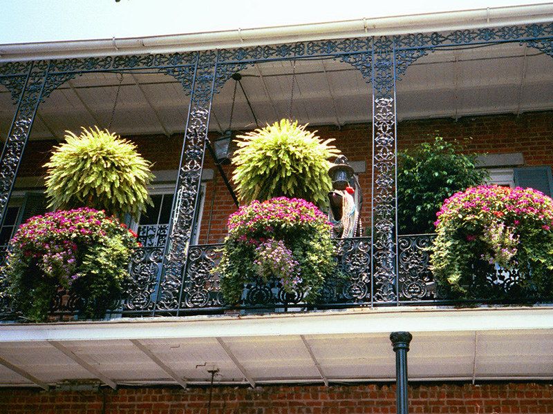 7 Louisiana Creole Porches With Storybook Railings - Decor Hint The Quarter’s Lacy Balcony