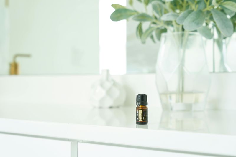 8 Bathroom Details Guests Often Notice Without You Knowing - Decor Hint Lingering Odors That Tell Tales