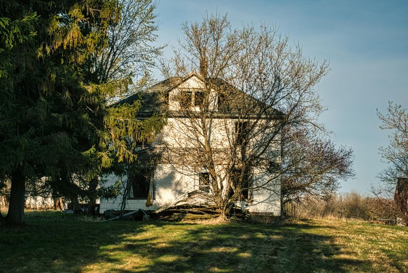 8 Landscaping Mistakes That Make Your Yard Look Sloppy - Decor Hint Overgrown Shrubs