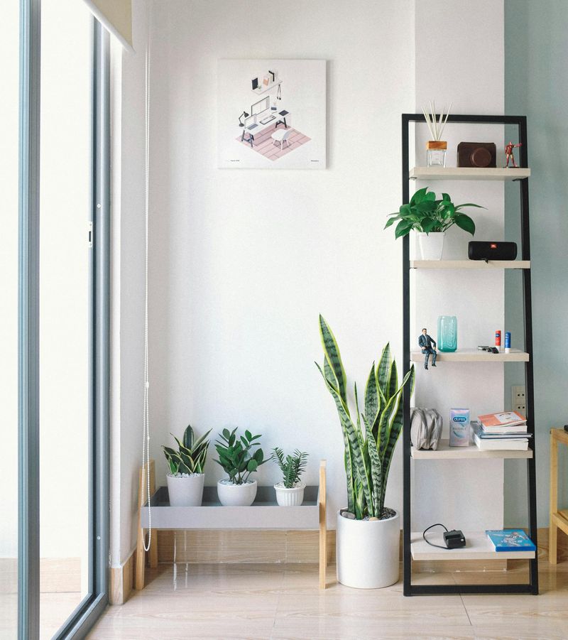 8 Mistakes That Can Undermine Comfort In Garden Rooms - Decor Hint Poor Insulation Choices