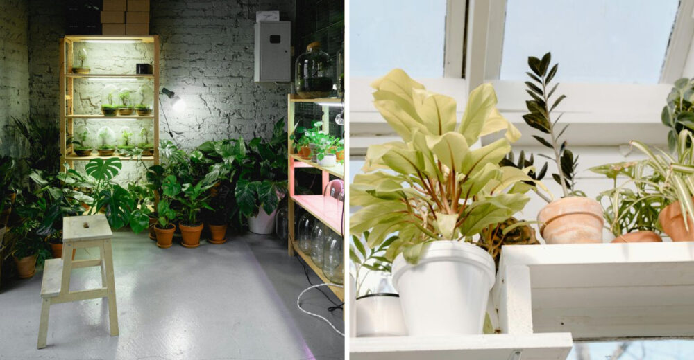 8 Mistakes That Can Undermine Comfort In Garden Rooms - Decor Hint