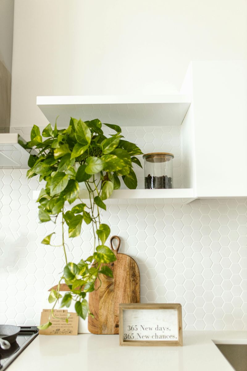 9 Practical Tips For Styling Kitchen Shelves - Decor Hint Showcase Special Pieces At Eye Level