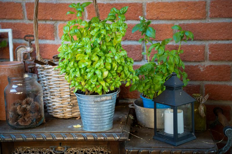 15 Simple Front Porch Upgrades That Might Make Your Home More Inviting - Decor Hint Creating a Small Herb Garden