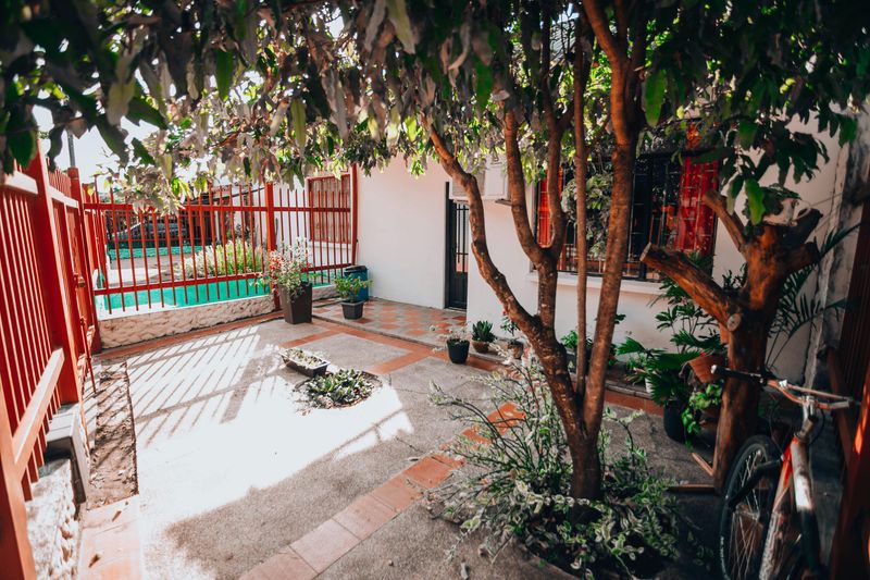 12 Backyard Mistakes Decreasing Your Home's Value - Decor Hint Concrete Jungle