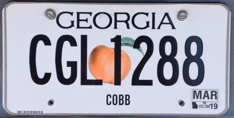 In Georgia, 16 Collectibles On The Decline For 2025 And 6 That Are No Longer Worth Anything - Decor Hint Vintage Georgia License Plates Hitting The Brakes