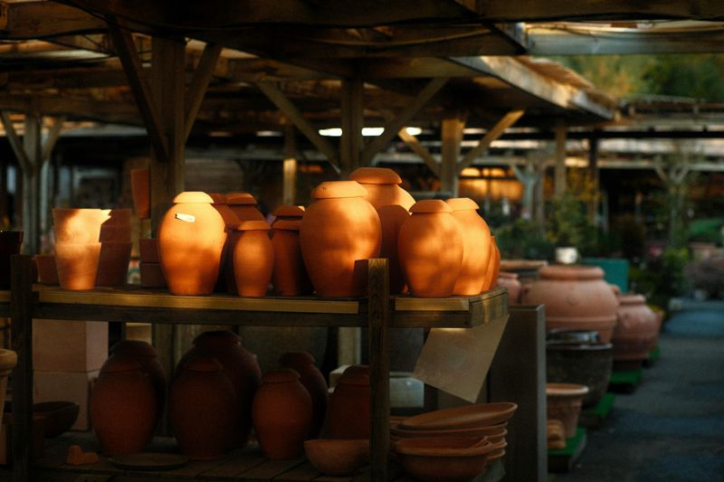 Plant A Container Garden