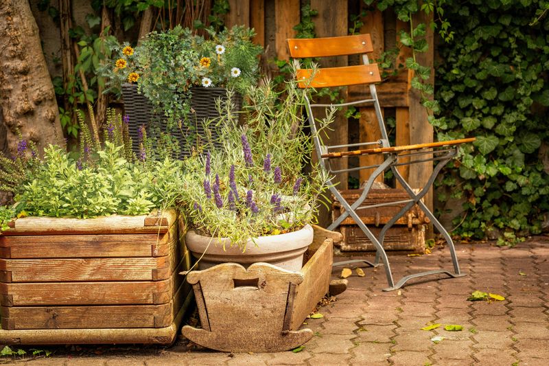 10 Quick Backyard Updates That Could Transform Its Look - Decor Hint Adding Planters or Raised Garden Beds