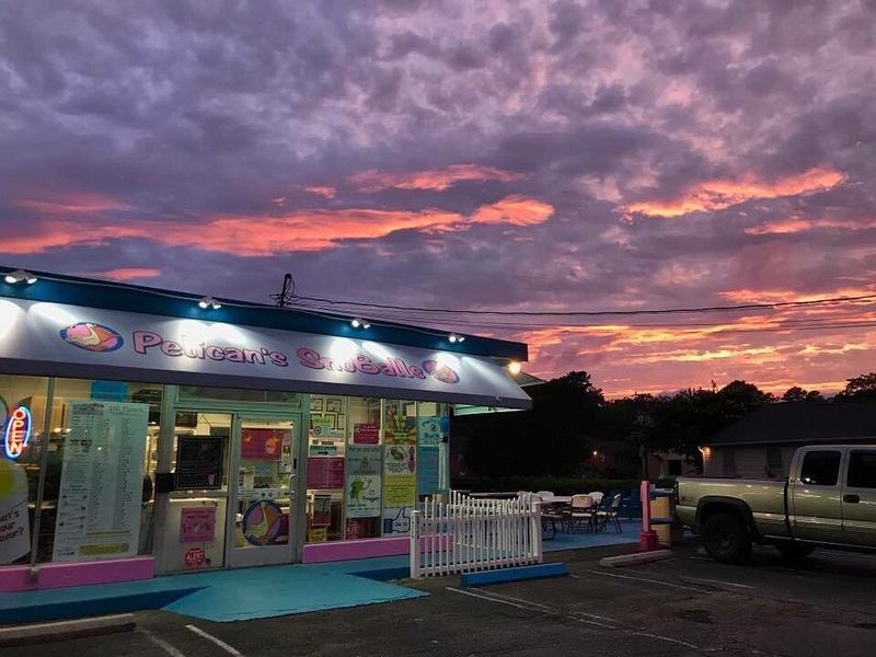 7 Best Affordable Restaurants In Virginia Packed With Flavor - Decor Hint Pelicans SnoBalls in Fredericksburg