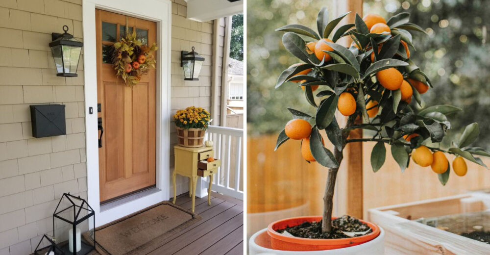 California Style 8 Nature Inspired Front Porch Concepts To Try - Decor Hint