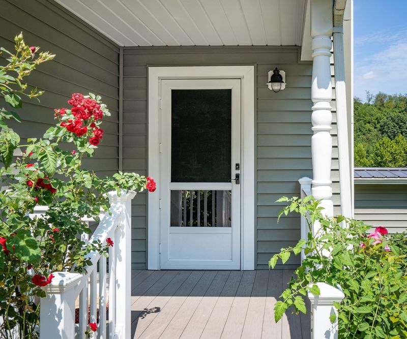 Half-View Storm Door With Unique Accents