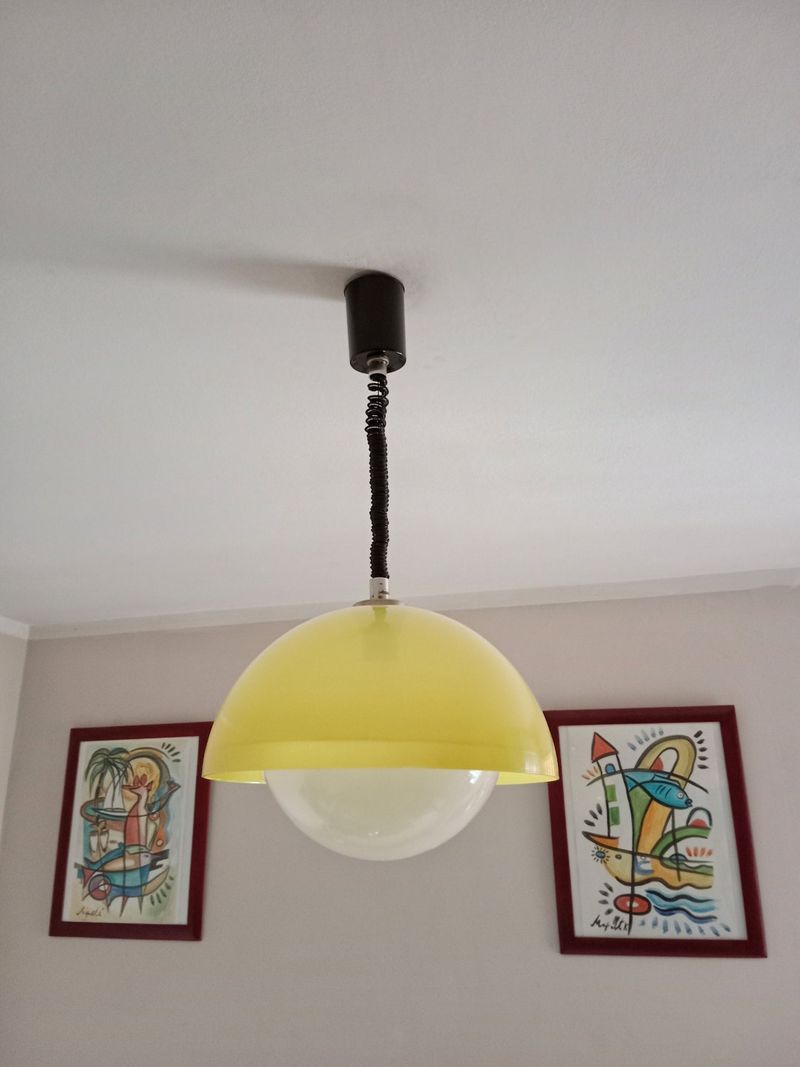 Plastic Lamp Shades (flop)