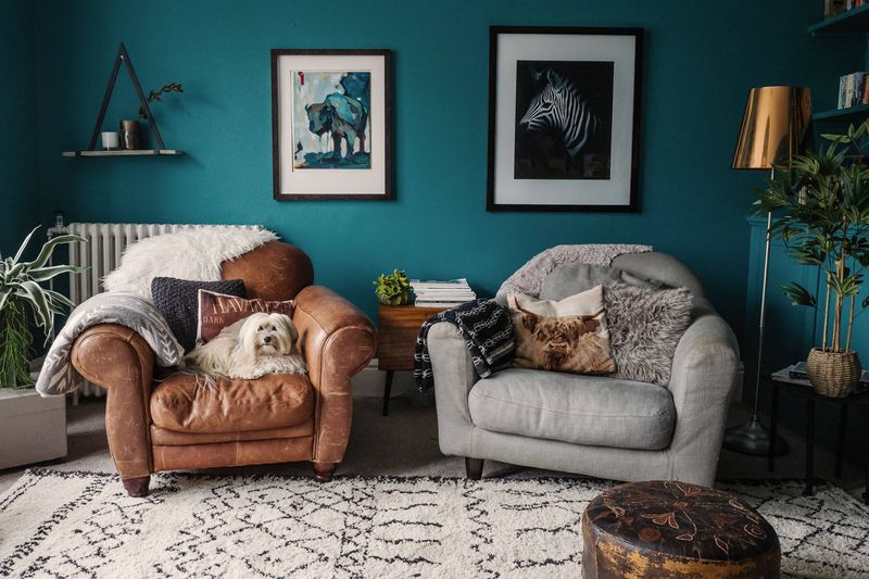 10 Living Room Paint Colors Indiana Homeowners Regret Using - Decor Hint Trendy Teal Takeover