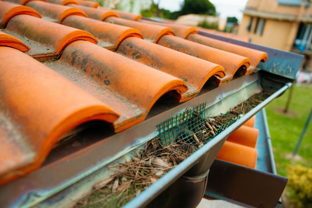 Clogged Rain Gutters
