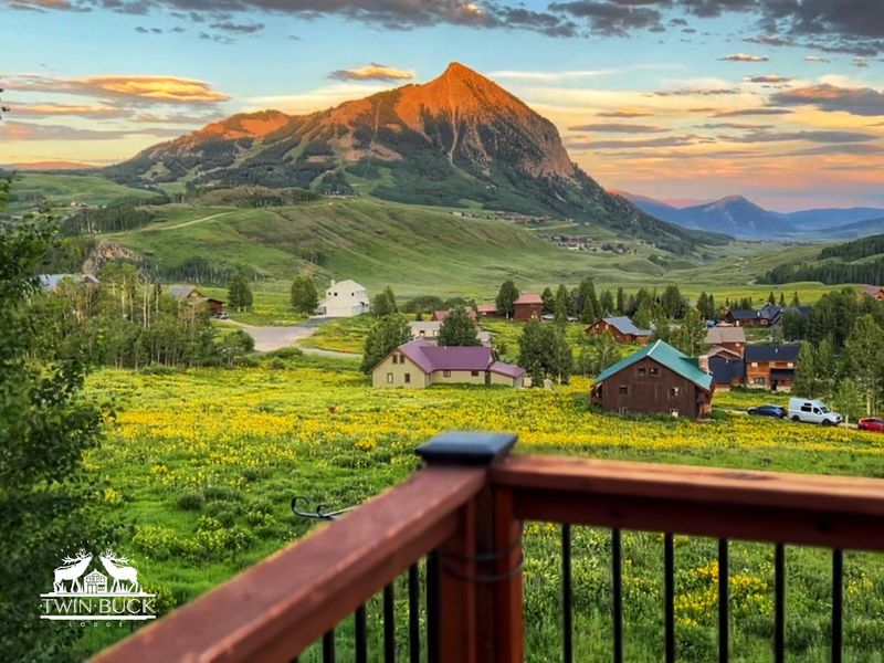 Crested Butte's Wildflower Veranda