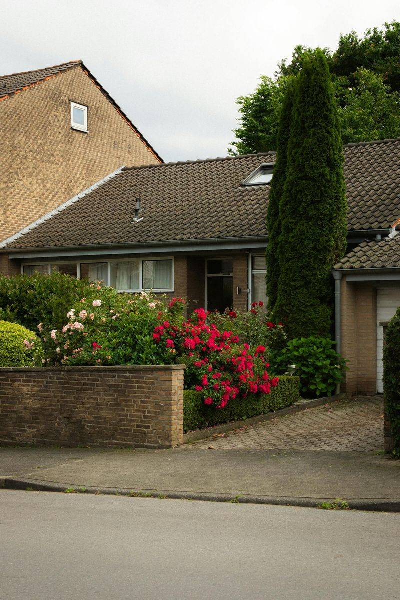 Untrimmed Hedges