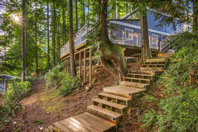 Rainforest Resilience in Olympia