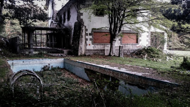 12 Backyard Mistakes Decreasing Your Home's Value - Decor Hint Swamp Feature (Not Water Feature)