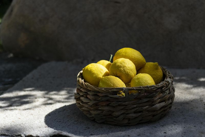 Practical Ways To Clean Your Home With Lemon Peels - Decor Hint Grout Line Brightener