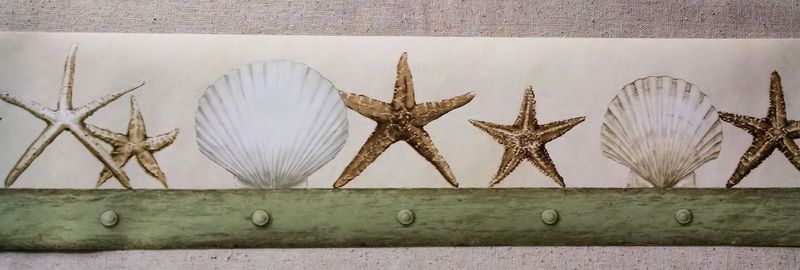 Wallpaper Borders With Seashell Patterns