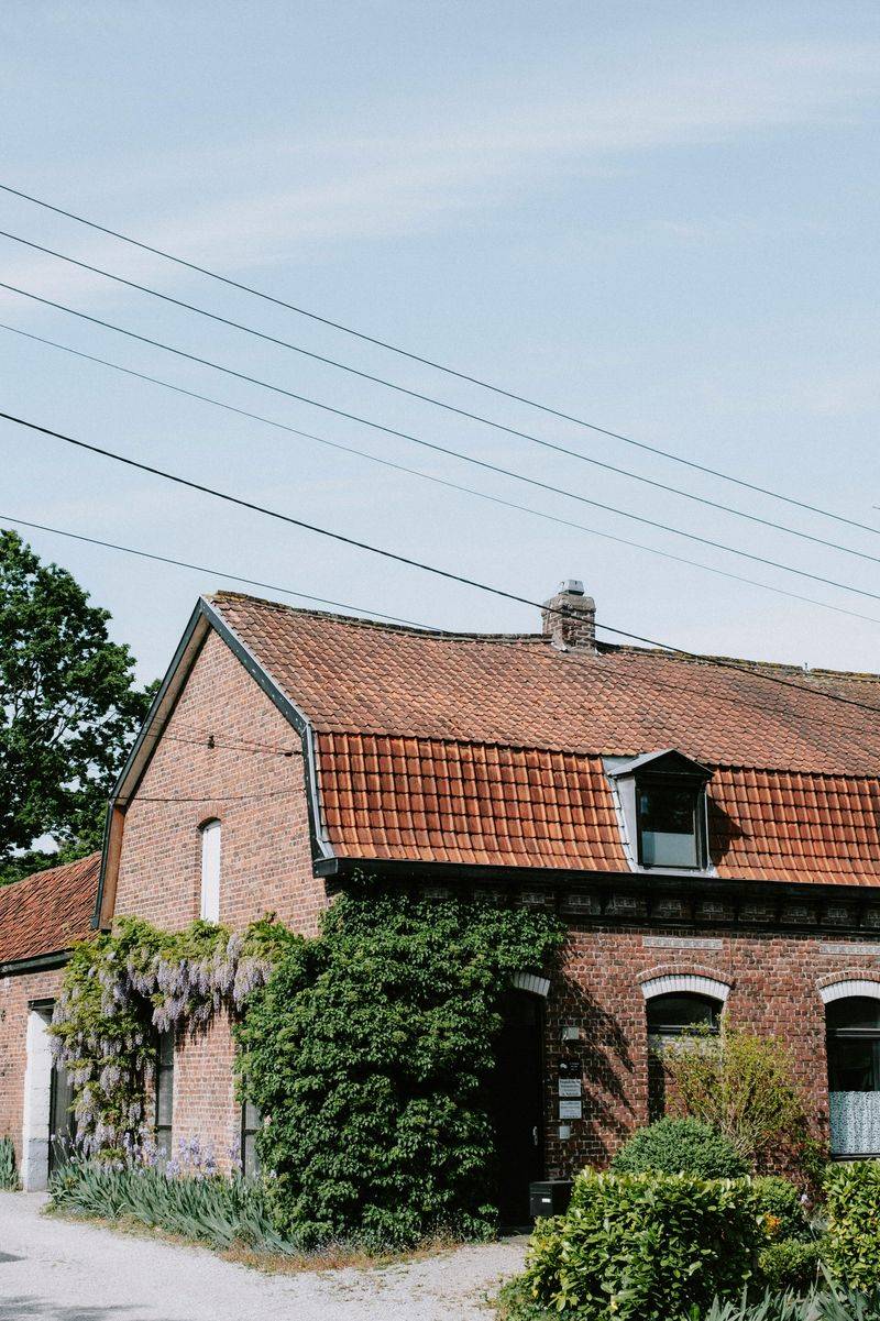 11 Exterior Trends That Enhance Curb Appeal And Add Visual Value - Decor Hint Vertical Gardens And Trellises