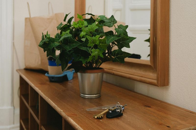 Bring In Living Plants
