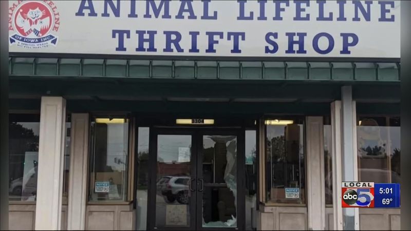 9 Iowa Thrift Stores With Retro Gems Worth Grabbing - Decor Hint Animal Lifeline Thrift Store: Des Moines' Pet-Loving Vintage Paradise