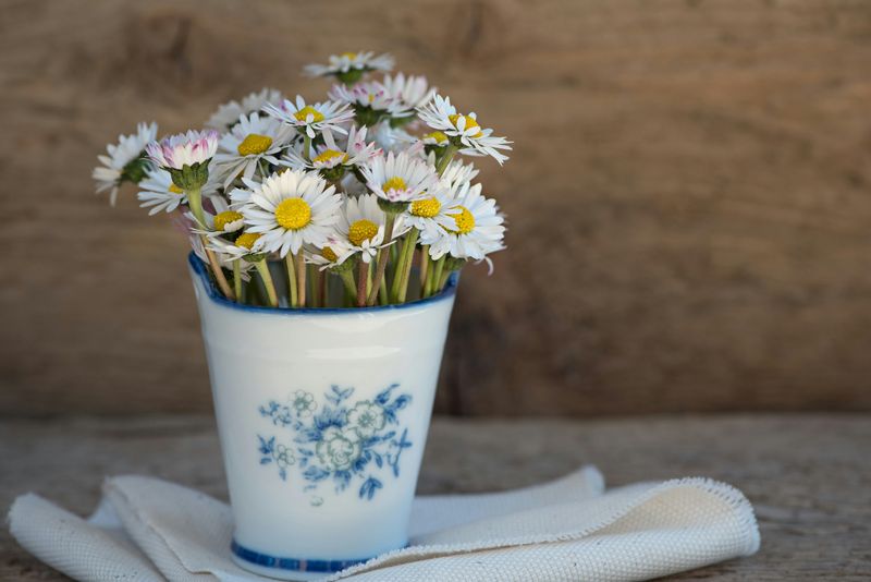 Fresh Flowers In Simple Vessels