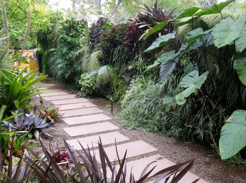11 Arizona Patio Trends You'll Want To Skip This Year - Decor Hint Tropical Plant Obsession
