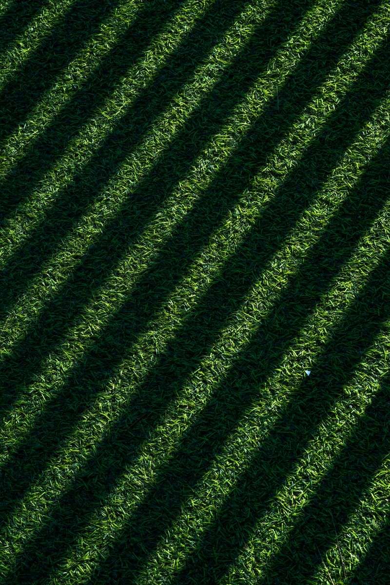 8 Landscaping Mistakes That Make Your Yard Look Sloppy - Decor Hint Excessive Lawn Chemicals