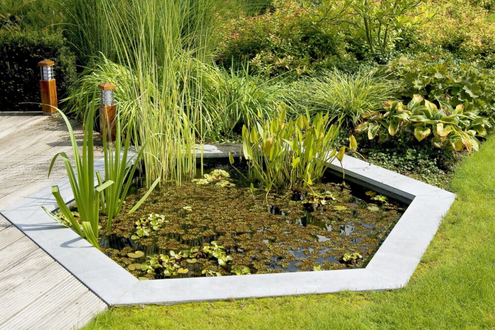 Decorative Ponds