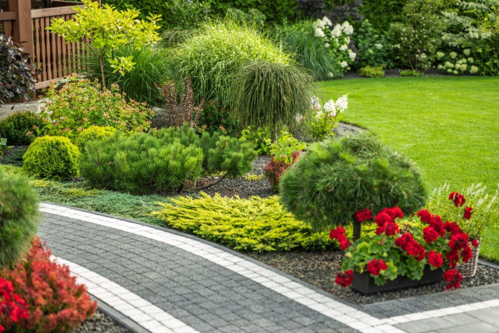 Define Garden Beds With Edging