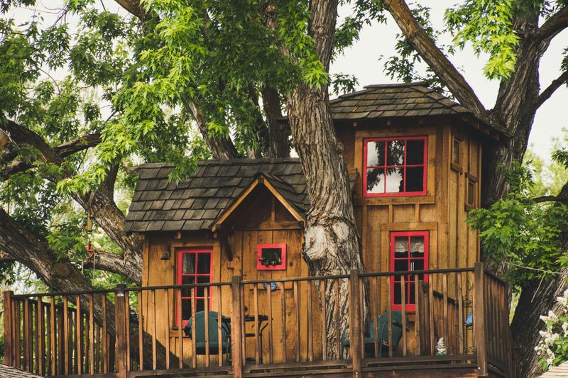 Creating a Treehouse or Elevated Play Structure