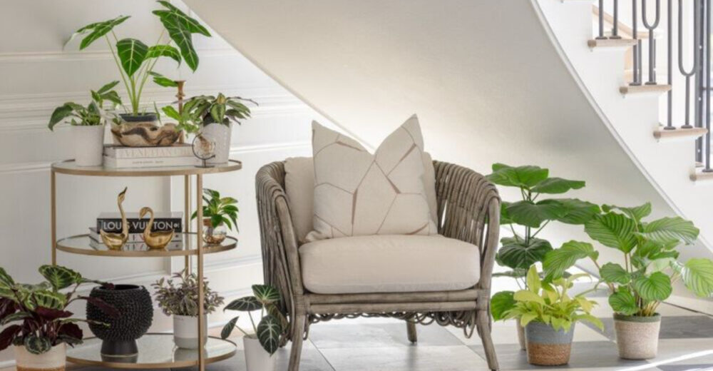 Easy Ways To Refresh Your Home With Plants Cushions And Composting - Decor Hint