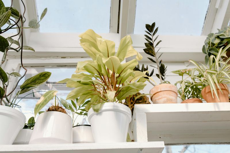8 Mistakes That Can Undermine Comfort In Garden Rooms - Decor Hint Forgetting Climate Control Systems