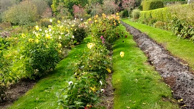 16 Garden Paths In Washington That Capture Park-Like Beauty - Decor Hint Hidden Valley Trail
