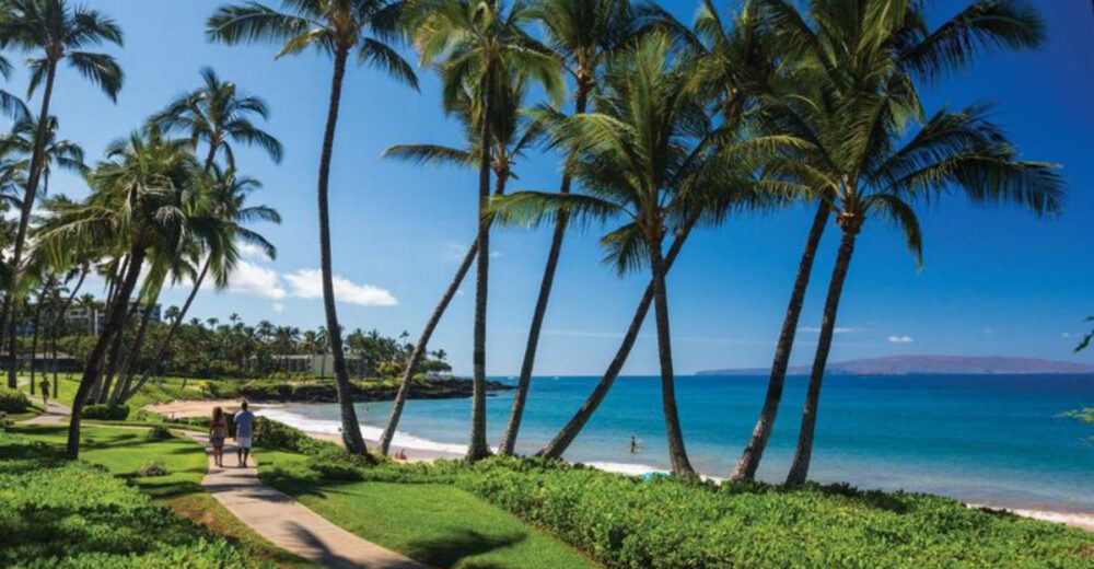 Experience Pure Joy Inside This Unique Maui Guesthouse - Decor Hint