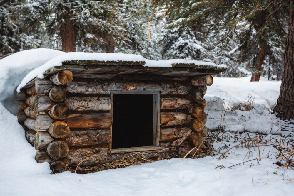 10 Exterior Design Elements Common In Alaska's Cold-Climate Homes - Decor Hint Wood Storage