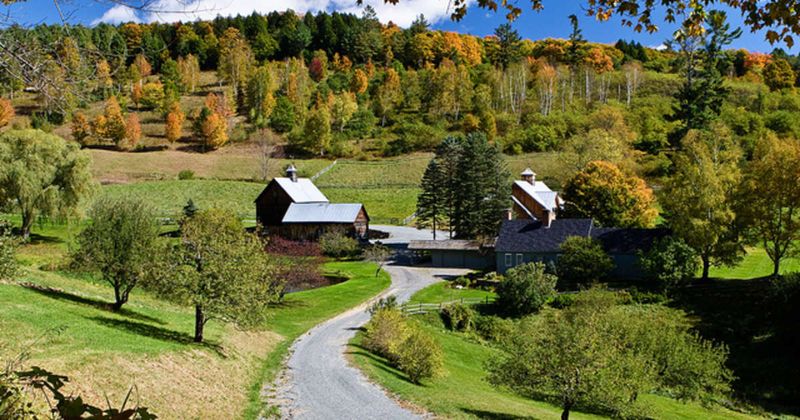 8 Farm-To-Table Restaurants Across Vermont Offering Locally Sourced Dining - Decor Hint Cloudland Farm (On-Farm Restaurant) – North Pomfret, VT