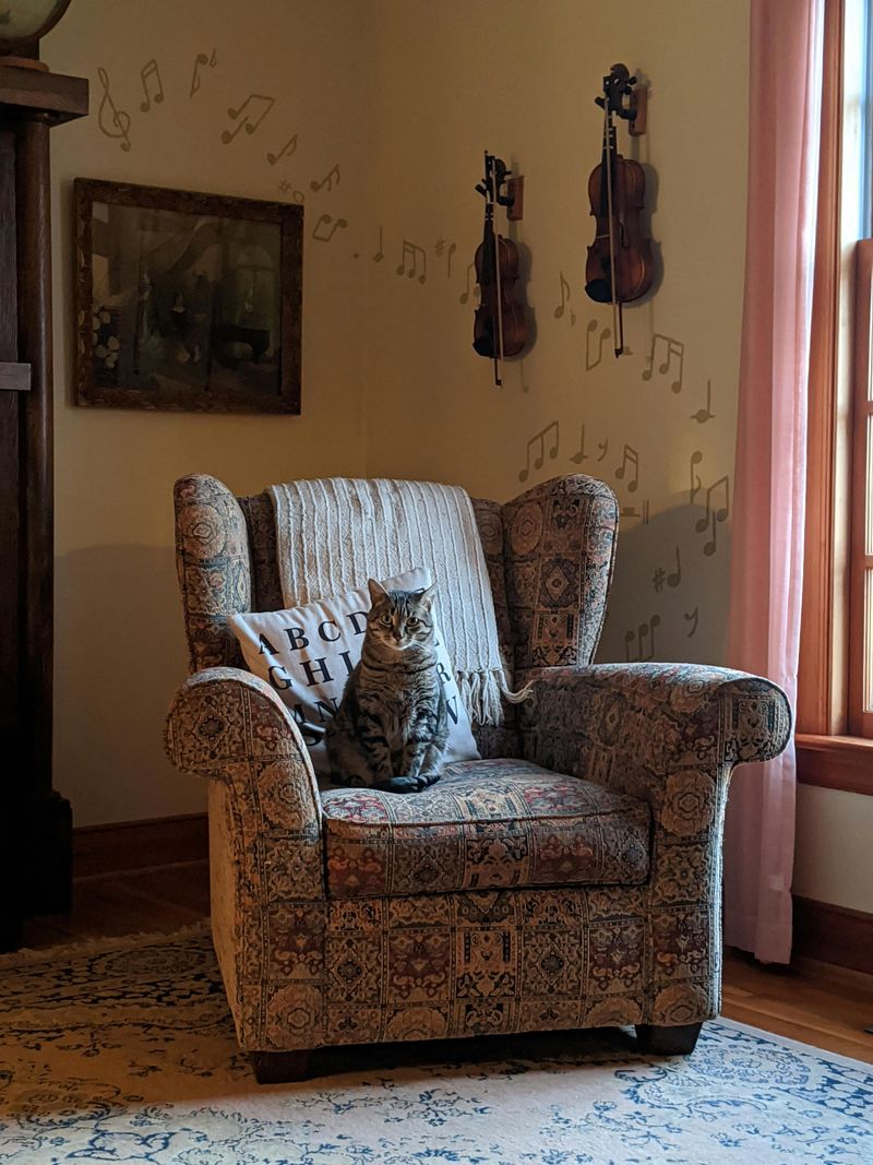 7 '90s Furniture Looks That Might Not Make A Comeback - Decor Hint Patterned velour armchairs