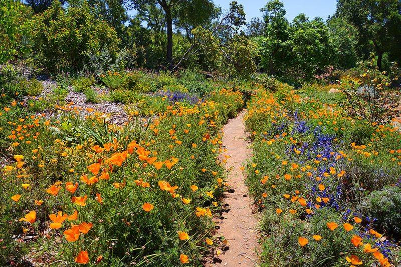 16 Garden Paths In Washington That Capture Park-Like Beauty - Decor Hint Meadow Meander