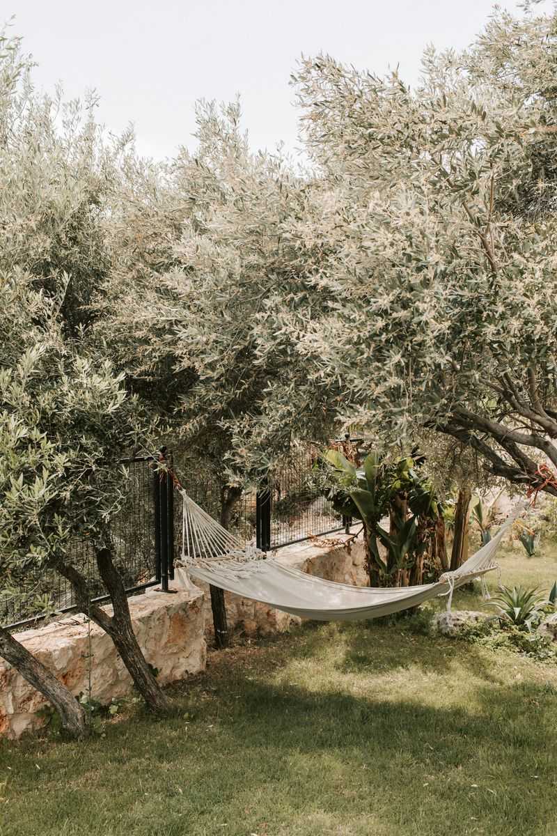 12 Backyard Mistakes Decreasing Your Home's Value - Decor Hint Patchy Lawn Syndrome