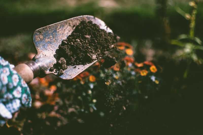 16 Common Garden Mistakes You Can Avoid Or Fix - Decor Hint Over-Fertilizing