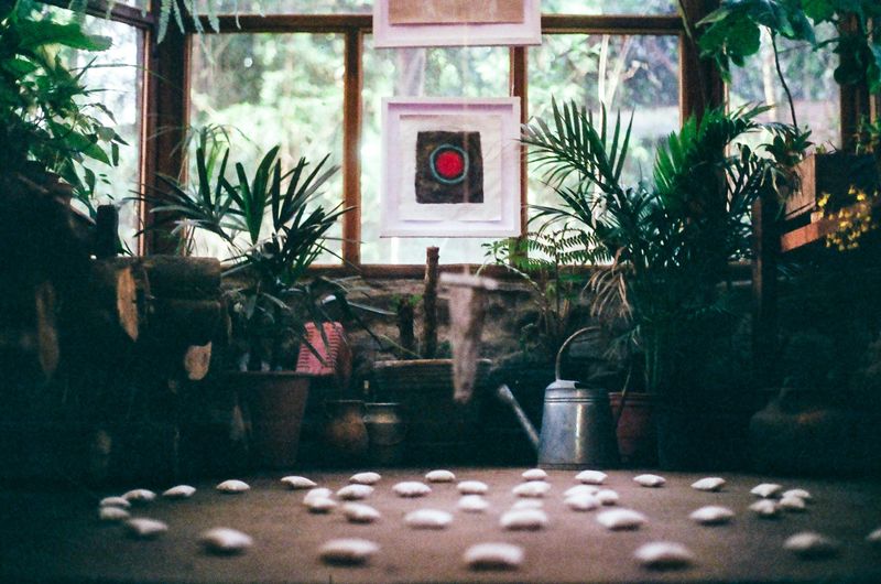 8 Mistakes That Can Undermine Comfort In Garden Rooms - Decor Hint Neglecting Sound Management