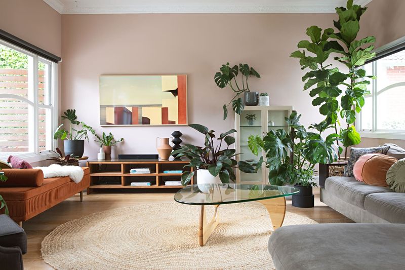 Houseplants Create Indoor Gardens