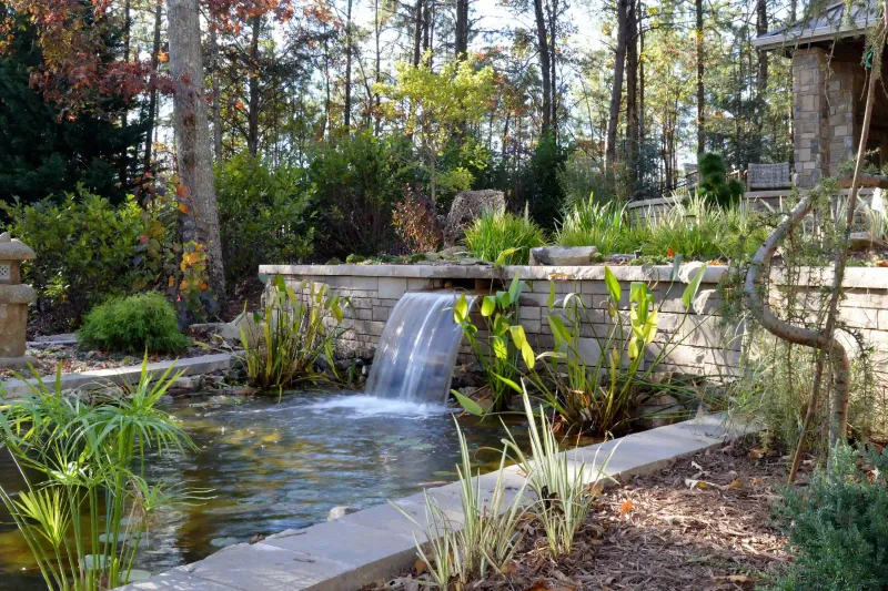 Water Features with Koi Ponds