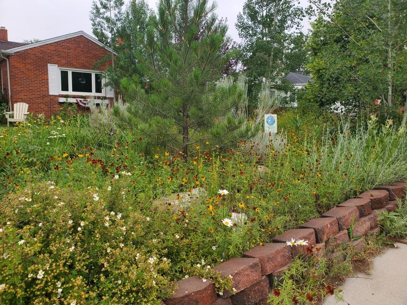 18 Delaware Brick Walkways That Look Like They've Always Been There - Decor Hint Orchard Row Connector