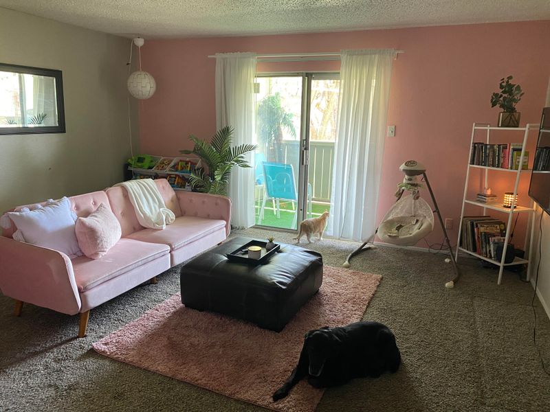 9 Paint Colors That Just Work In Brooklyn Homes And Apartments - Decor Hint Park Slope Blush