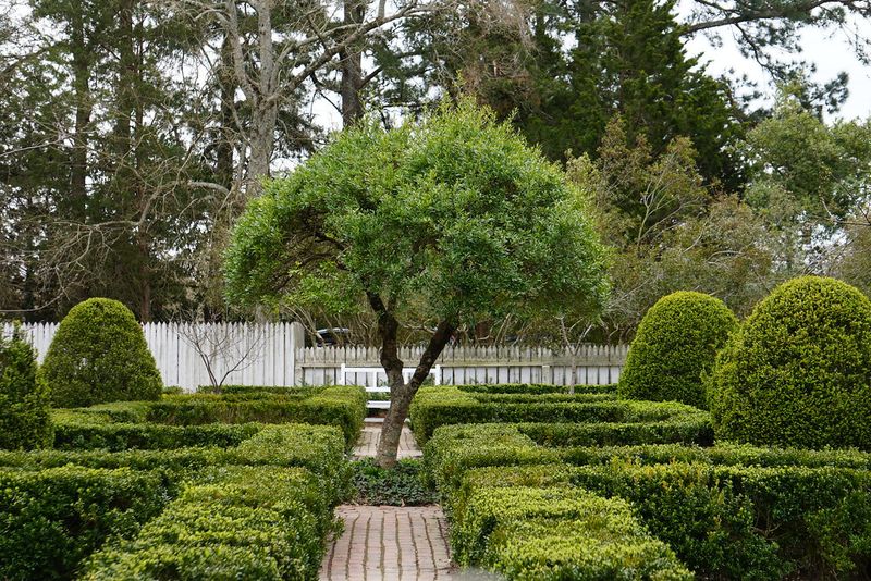 18 Virginia Colonial Details That Still Feel Fresh - Decor Hint Formal Boxwood Gardens